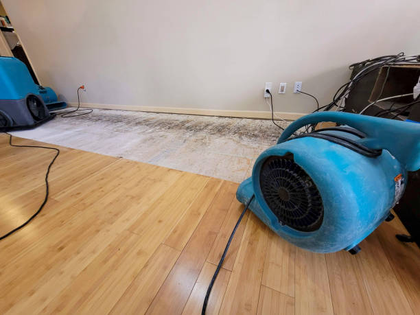 Professional Emergency Water Damage technician working in Gregory, SD